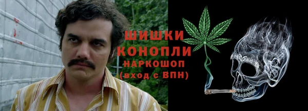 прущие крисы Гусь-Хрустальный