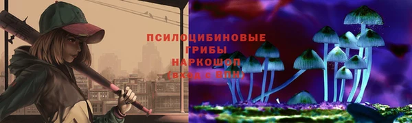 крисы Гусев