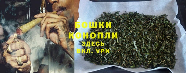крисы Гусев