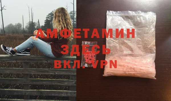 крисы Гусев