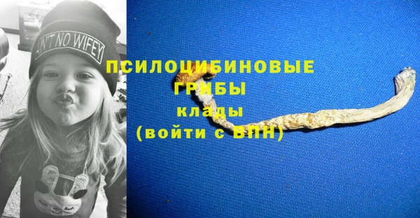 прущие крисы Гусиноозёрск