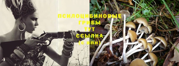 крисы Гусев