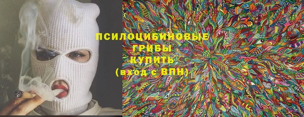 прущие крисы Гусь-Хрустальный