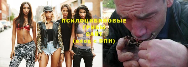 прущие крисы Гусиноозёрск